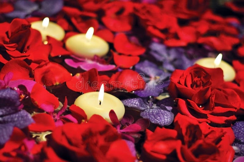 Luxurious Candles Float on Romantic Bed of Roses Stock Image Image of