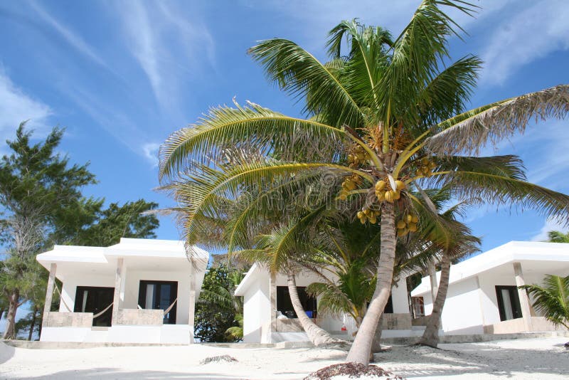 Luxurious Holiday Resort in Tulum Beach - Mexico