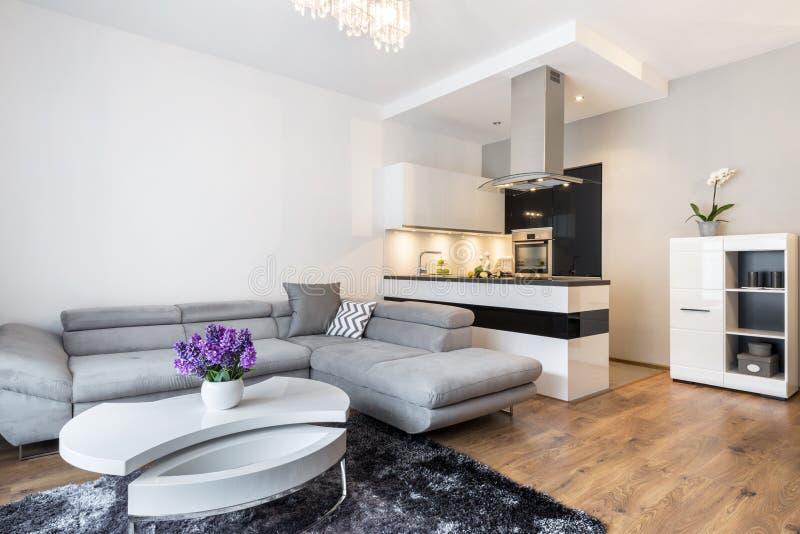 Luxurry living room with kitchen area stock image Luxurry living room with kitchen area stock image