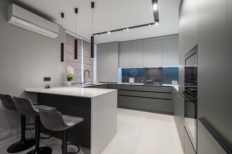 Luxury Dining Room and Kitchen in Studio Apartment Stock Image Image