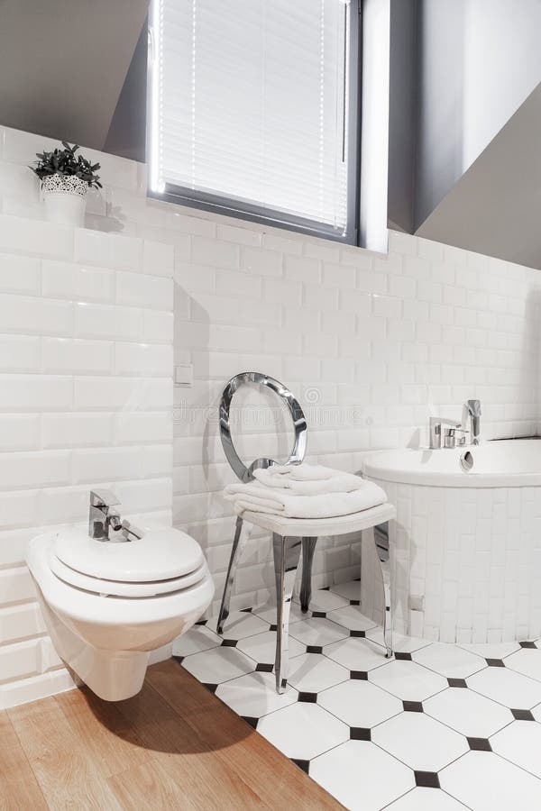 Luxury and elegant toilet stock photo. Image of silver 58085124