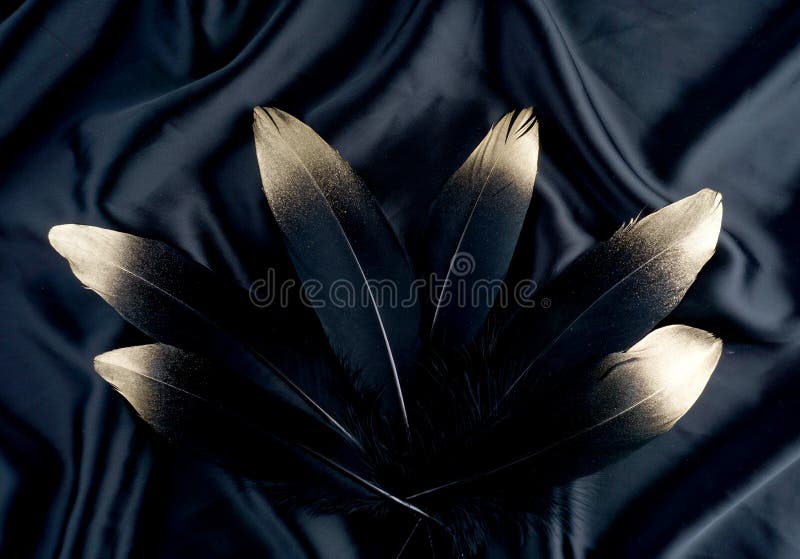 Luxury gilded gold golden black swan feather on silk cloth background royalty free stock photography Luxury gilded gold golden black swan feather on silk cloth background royalty free stock photography