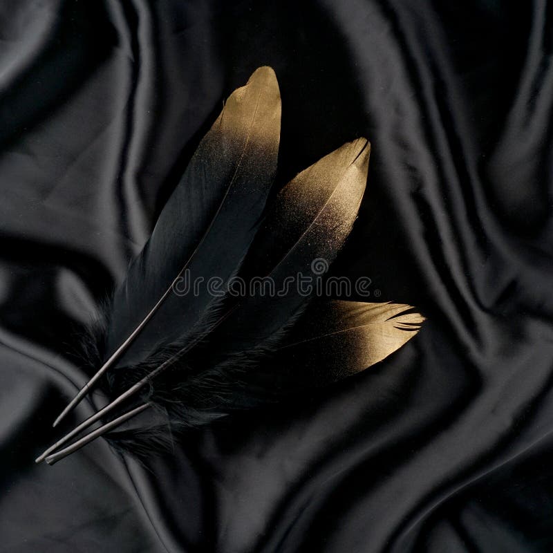 Luxury gilded gold golden black swan feather on silk cloth background