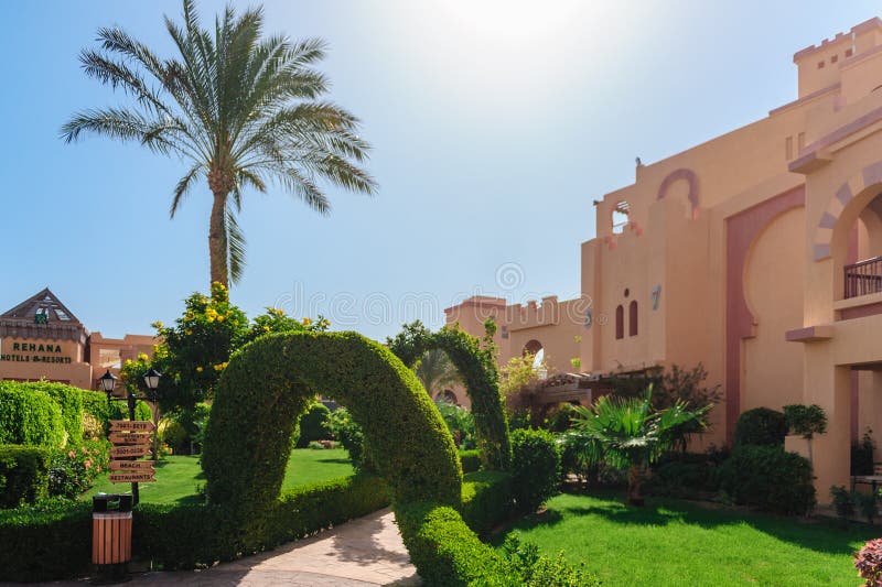 Luxury Holiday Villa with Palm Tree in Egypt Stock Photo Image of balcony, landscape 240063412