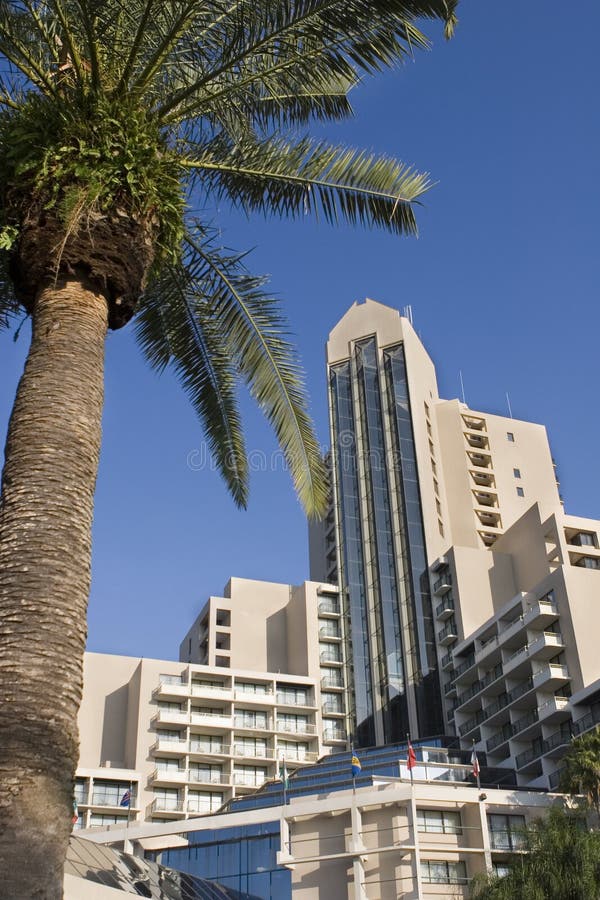 Luxury hotel with palm tree in foreground