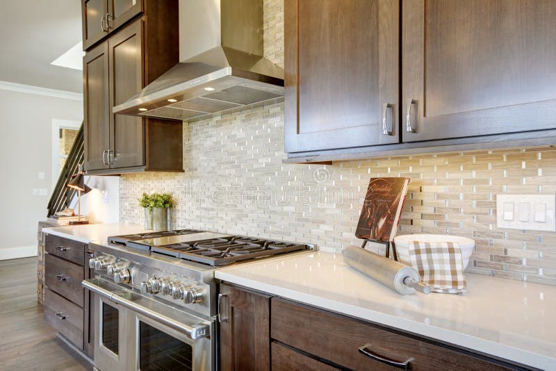 https://thumbs.dreamstime.com/b/luxury-kitchen-stainless-steel-hood-paired-mosaic-backsplash-over-high-end-stove-northwest-usa-luxury-kitchen-new-104025741.jpg