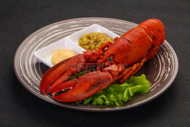 Luxury Lobster with sauce stock image. Image of boiled 156079659