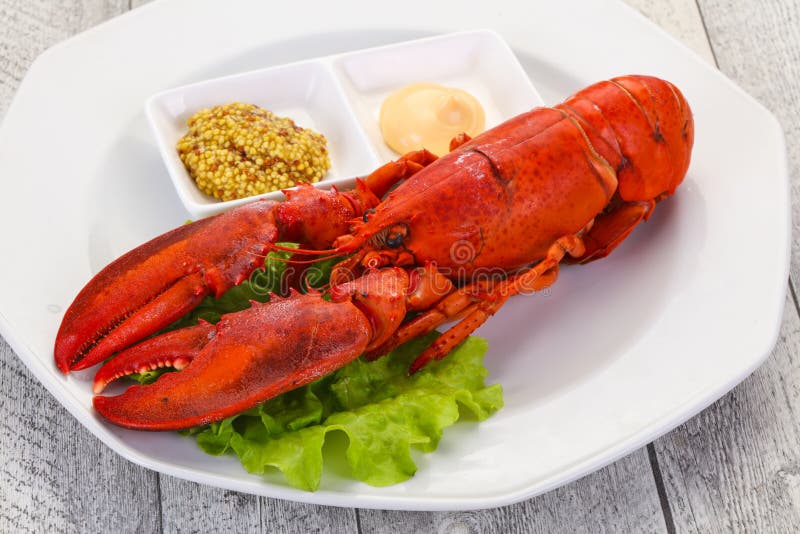 Luxury Lobster with sauce stock photo. Image of plate 179897756