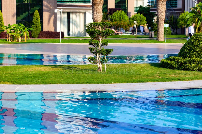 Luxury Resort With Palm Trees And Swimming Pool Stock Photo Image Of Luxury Resort With Palm Trees And Swimming Pool Stock Photo Image Of