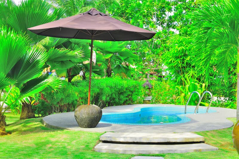 A luxury home swimming pool surrounded by green tropical plants and shaded by an umbrella. A luxury home swimming pool surrounded by green tropical plants and shaded by an umbrella