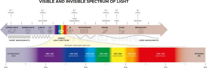 Wavelengths of the visible part of the spectrum for human eyes. The visible and invisible parts of the spectrum of white light. Dispersion of white light. Infographic. Wavelengths of the visible part of the spectrum for human eyes. The visible and invisible parts of the spectrum of white light. Dispersion of white light. Infographic