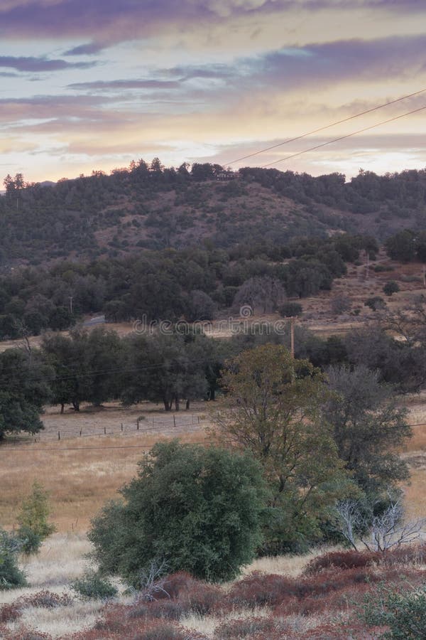Luz del sol de la madrugada en las colinas en otoño, arboleda del primero plano de los robles vivos, cielo hermoso de la salida d foto de archivo Luz del sol de la madrugada en las colinas en otoño, arboleda del primero plano de los robles vivos, cielo hermoso de la salida d foto de archivo