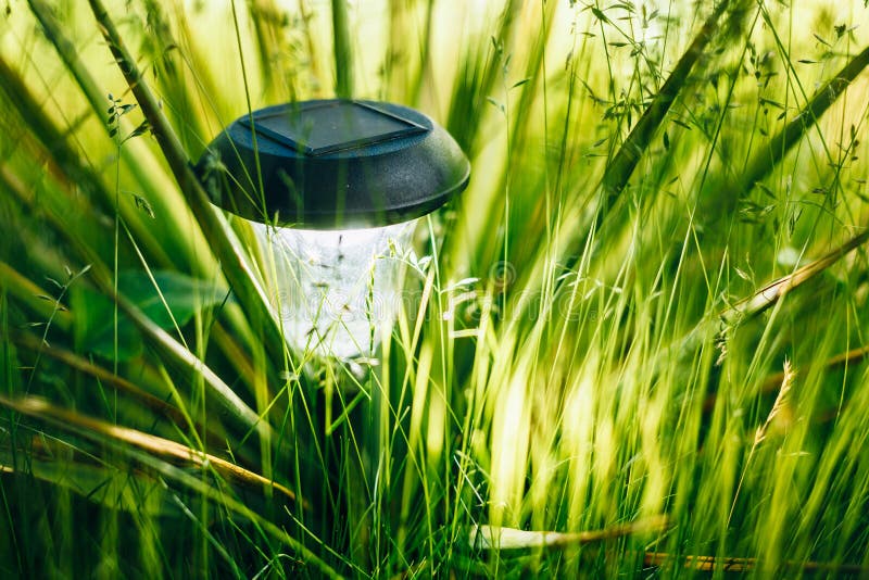 Luz solar pequena do jardim, lanterna na cama de flor Projeto do jardim fotografia de stock Luz solar pequena do jardim, lanterna na cama de flor Projeto do jardim fotografia de stock