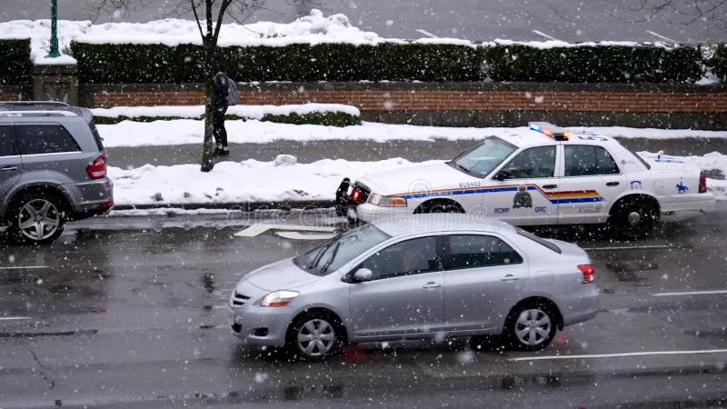 Luzes da polícia que piscam e que param na estrada