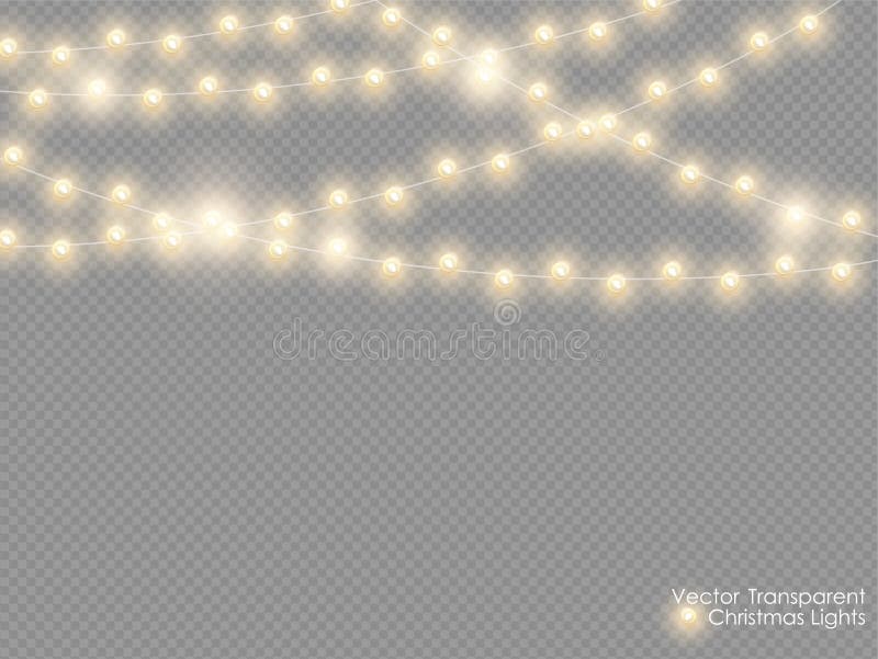 Luzes de Natal do vetor isoladas no fundo transparente Festão de incandescência do Xmas Luzes semitransparent douradas do ano nov ilustração royalty free Luzes de Natal do vetor isoladas no fundo transparente Festão de incandescência do Xmas Luzes semitransparent douradas do ano nov ilustração royalty free