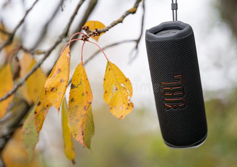 Bluetooth Speaker Hanging on Tree Trunk · Free Stock Photo