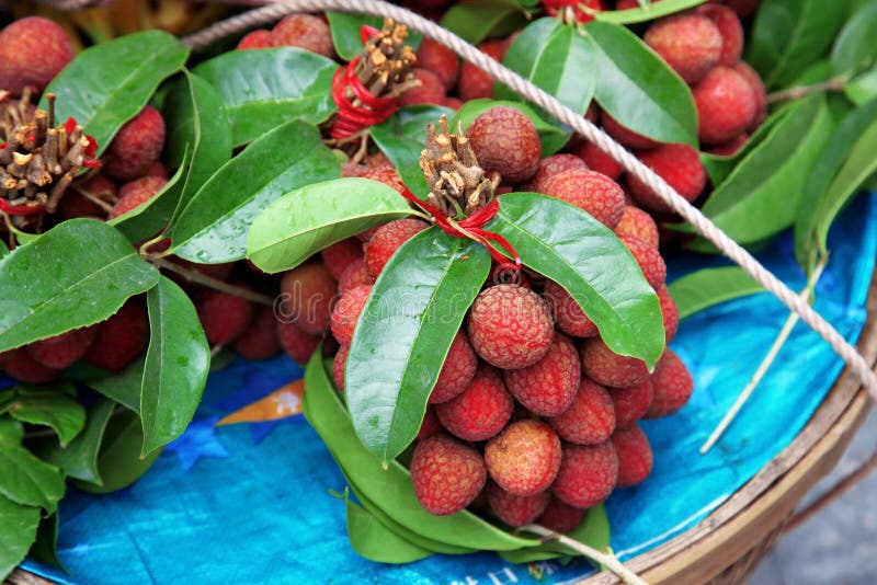 Lychee fresco immagini stock libere da diritti