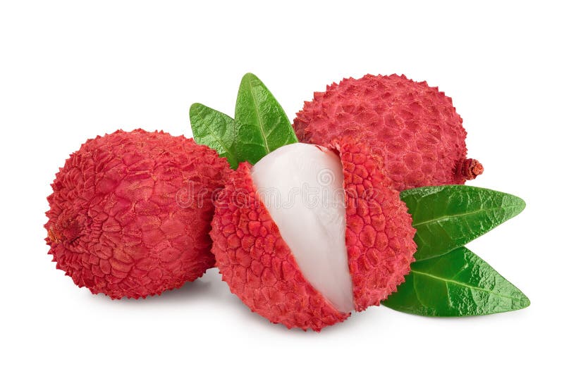 Lychee fruit isolated on white background with clipping path and full depth of field royalty free stock photo