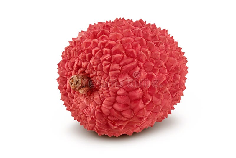 Lychee fruit isolated on white background with full depth of field stock image