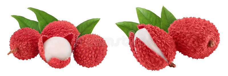 Lychee fruit isolated on white background with full depth of field royalty free stock images