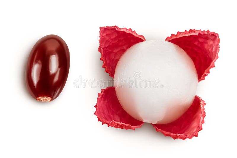 Lychee fruit isolated on white background with full depth of field. Top view. Flat lay royalty free stock image