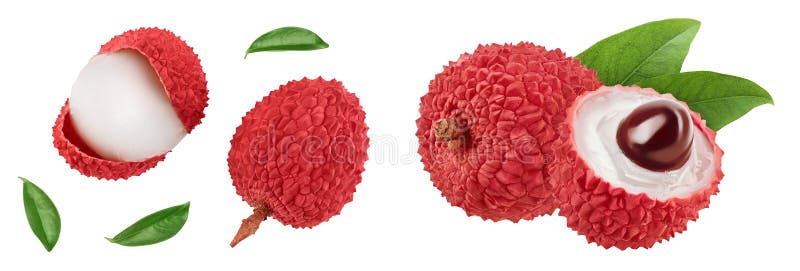 Lychee fruit isolated on white background with full depth of field. Top view. Flat lay stock photos