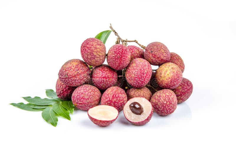 Lychee,Lichi (Litchi chinensis Sonn.)