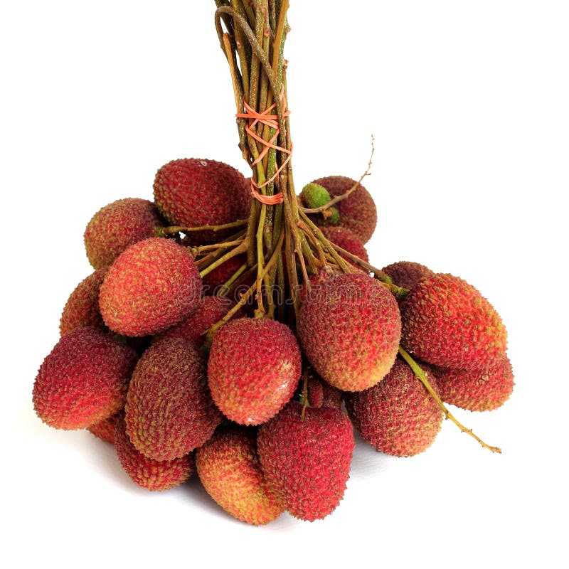 Lychee пук свежих lychees изолированных на белизне стоковые фото