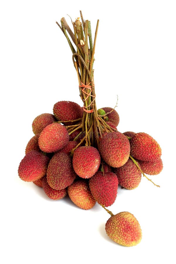 Lychee пук свежих lychees изолированных на белизне стоковое изображение rf