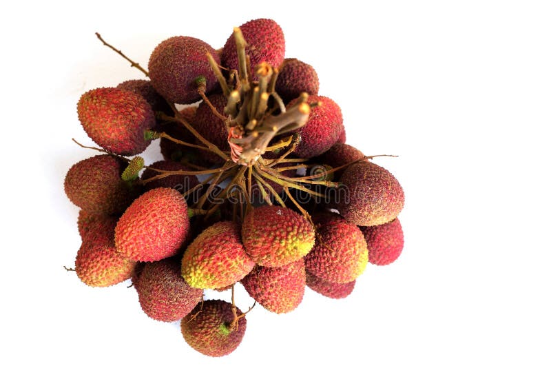 Lychee пук свежих lychees изолированных на белизне стоковое фото rf