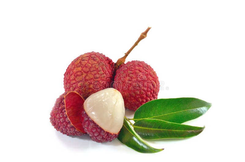 Lychee Свежие lychees изолированные на белой предпосылке стоковое фото rf