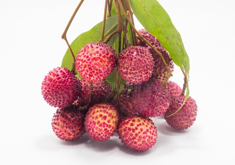 Lychees изолировали красный цвет с белой предпосылкой