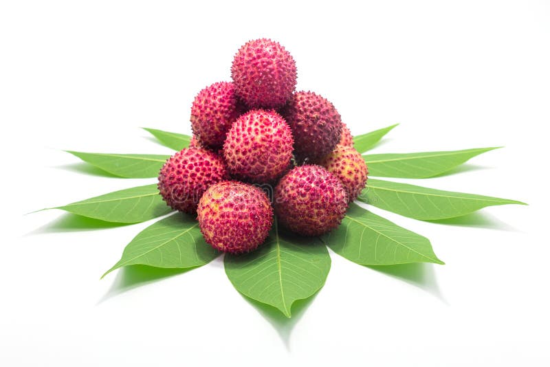 Lychees изолировали красный цвет на белой предпосылке стоковое изображение rf