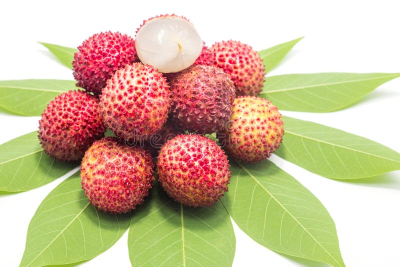 Lychees изолировали красный цвет на белой предпосылке стоковые изображения rf