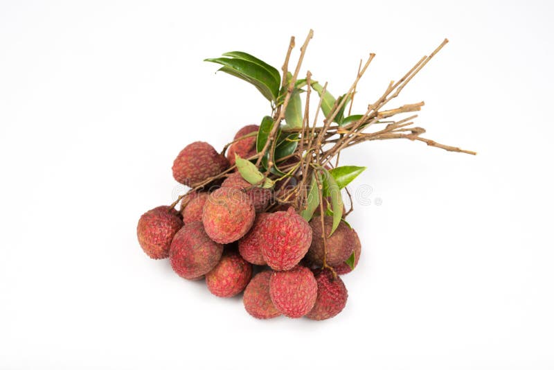 Lychees изолированные на белой предпосылке стоковое изображение