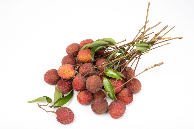 Lychees изолированные на белой предпосылке стоковые фото