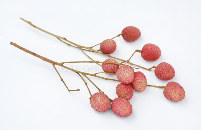 Lychees изолированные на белом фоне стоковое изображение