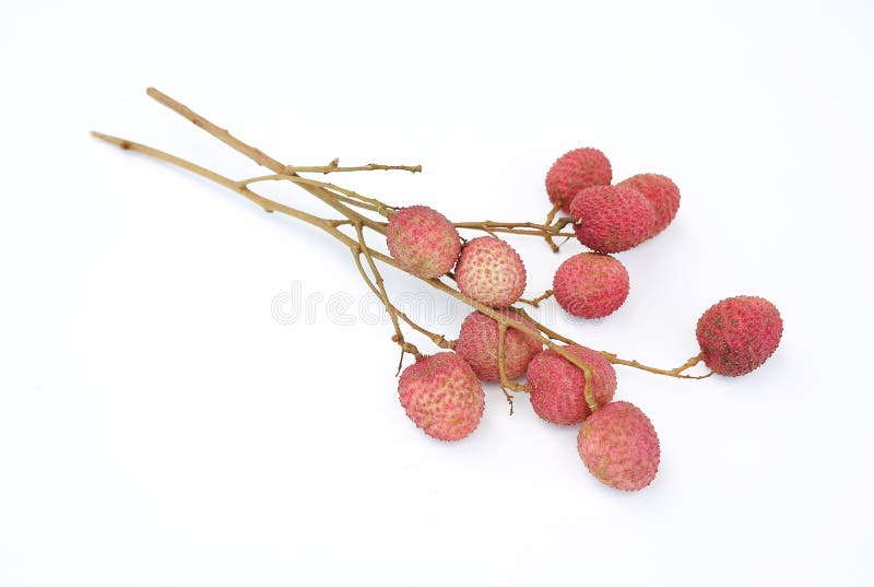 Lychees изолированные на белом фоне стоковые фотографии rf
