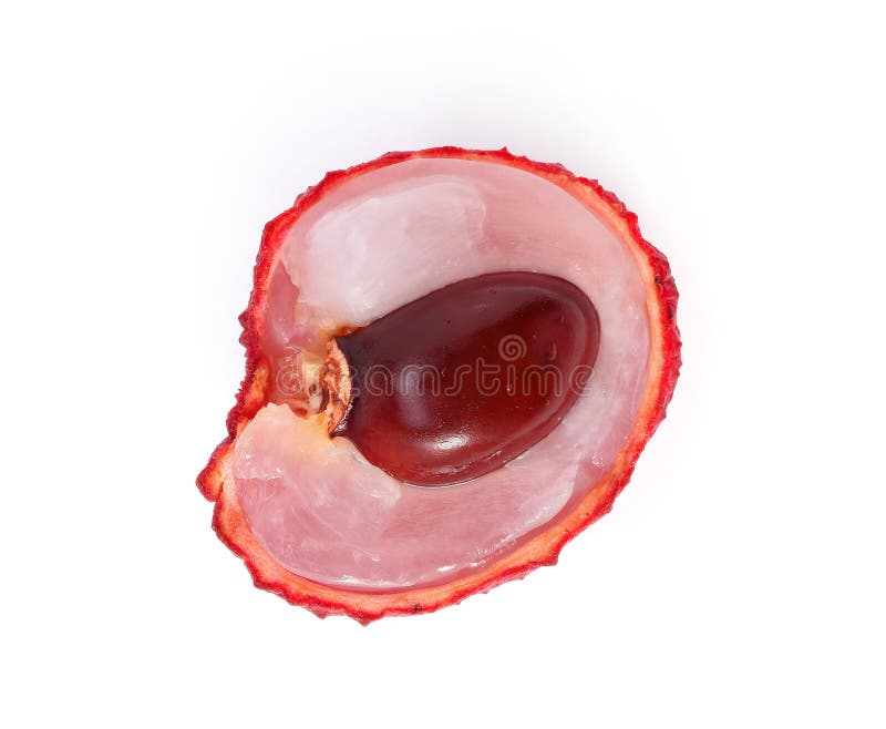 Lychees изолированные на белом фоне стоковое фото rf