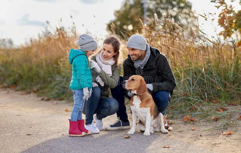 Lycklig familj med beaglehunden utomhus i h?st arkivbilder Lycklig familj med beaglehunden utomhus i h?st arkivbilder