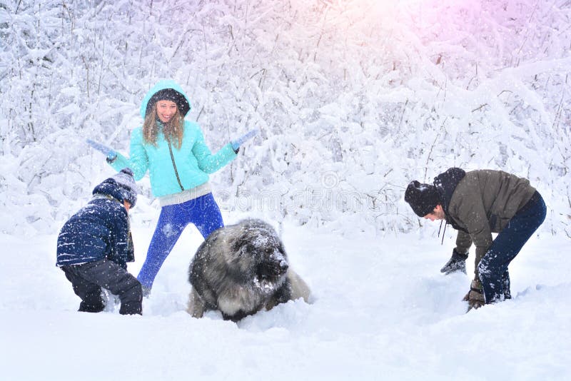 Lycklig familj med hunden utomhus i en snöig skogmoder, en fother, en son och en stor husdjurhund royaltyfri foto