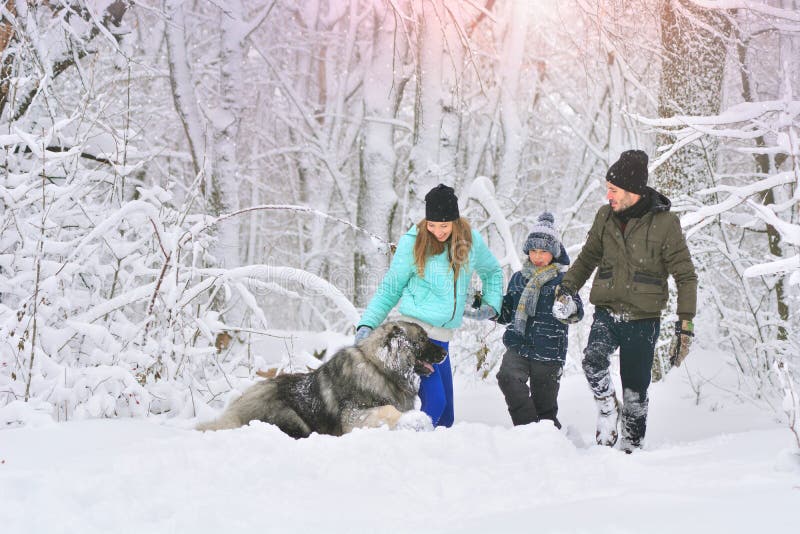 Lycklig familj med hunden utomhus i en vinterskogmoder, en fother, en son och en stor husdjurhund arkivbilder