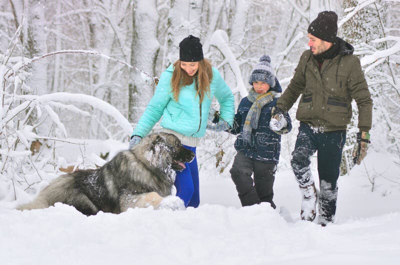 Lycklig familj med hunden utomhus i en vinterskogmoder, en fother, en son och en stor husdjurhund arkivbild
