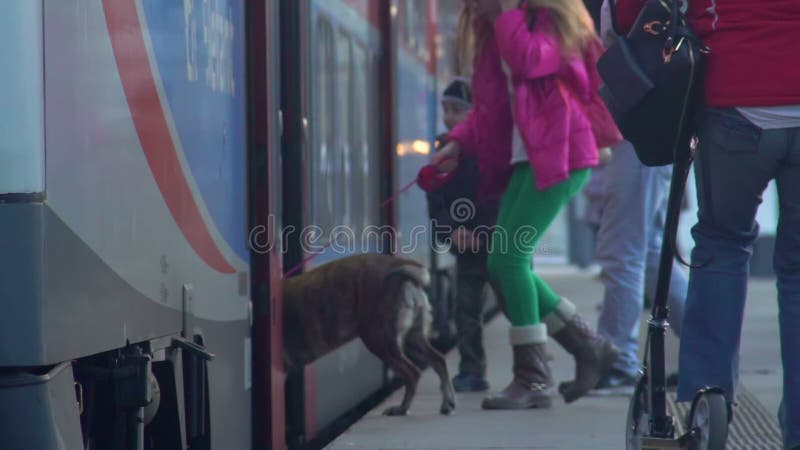 Lycklig familj med hundlogidrevet som reser på semester, ultrarapid