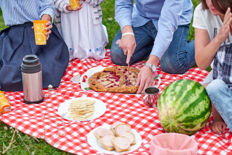 Lycklig familj p? en picknick Picknick i ?ngen eller att parkera Unga v?nner och deras barn i natur royaltyfri fotografi Lycklig familj p? en picknick Picknick i ?ngen eller att parkera Unga v?nner och deras barn i natur royaltyfri fotografi