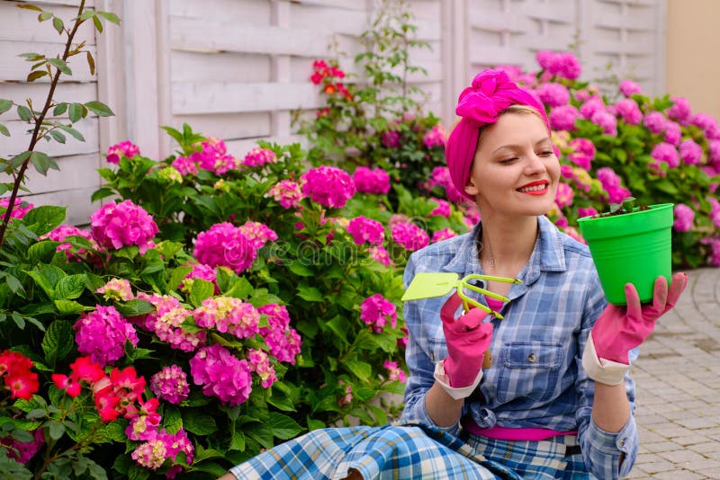 lycklig kvinnaträdgårdsmästare med blommor Omsorg och bevattna för blomma jorder och gödningsmedel Växthusblommor kvinnaomsorg av arkivfoton lycklig kvinnaträdgårdsmästare med blommor Omsorg och bevattna för blomma jorder och gödningsmedel Växthusblommor kvinnaomsorg av arkivfoton