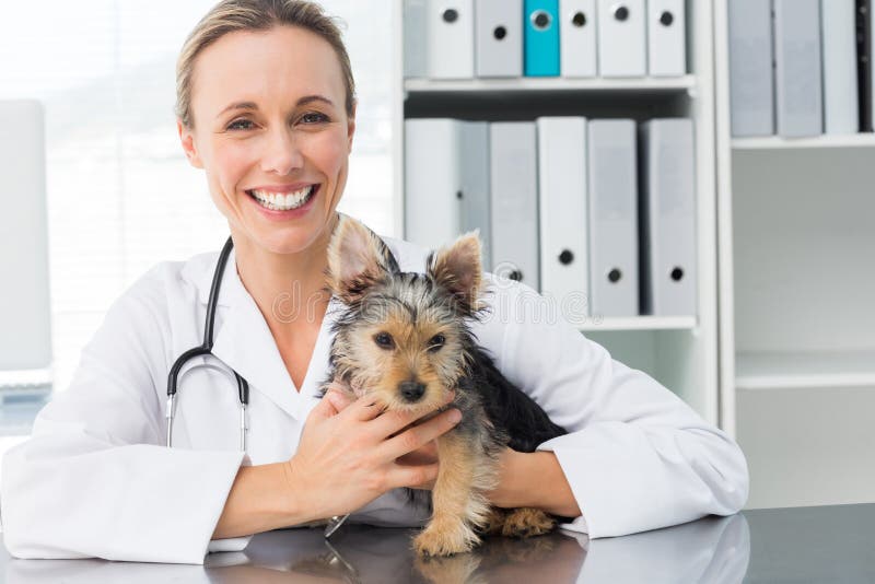 Lycklig kvinnlig veterinär- hållande valp royaltyfri bild Lycklig kvinnlig veterinär- hållande valp royaltyfri bild