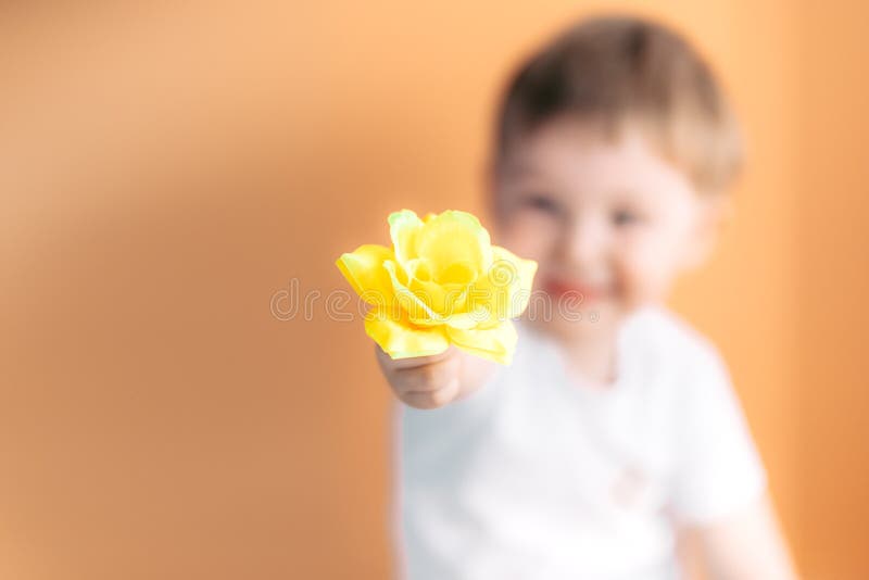 Lycklig le pojke för Closeupstående med den orange rosen Härligt pyslitet barn som ger blommamoders ett begrepp för dag pojke arkivbilder Lycklig le pojke för Closeupstående med den orange rosen Härligt pyslitet barn som ger blommamoders ett begrepp för dag pojke arkivbilder