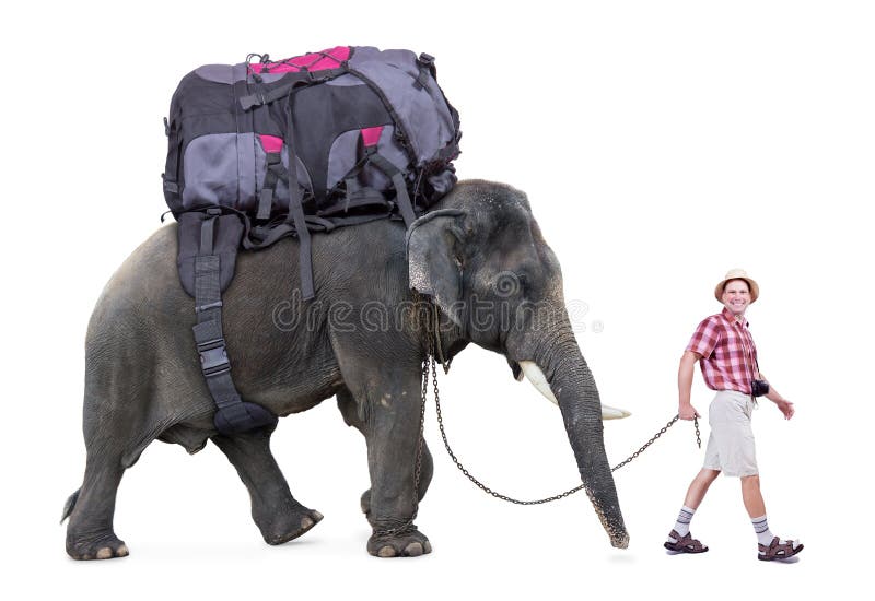 Lycklig turist som går en elefant royaltyfri bild Lycklig turist som går en elefant royaltyfri bild