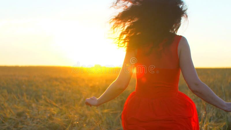 Lycklig ung latinamerikansk härlig kvinna som kör på vetefält i solnedgångsommar För lyckaturism för frihet vård- lopp